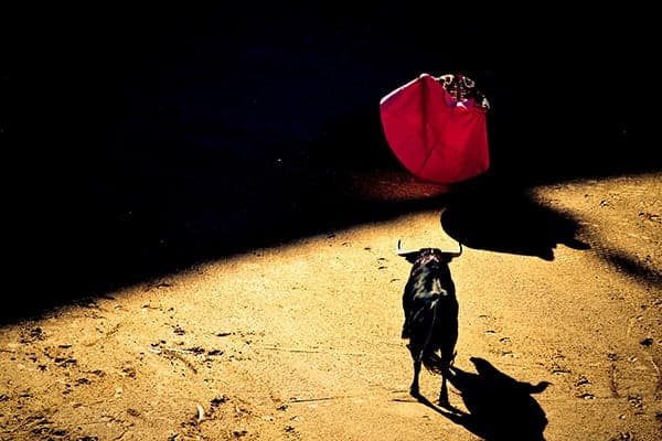 matador with red cape waiting for bull to charge